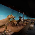 Uncover the Historical Treasures of York County, SC