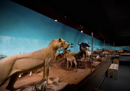 Uncover the Historical Treasures of York County, SC