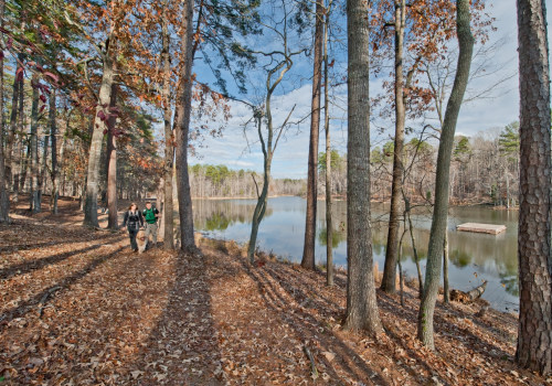 Exploring the Most Exciting Tours in York County SC